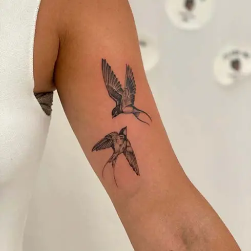 Some description for the image 43