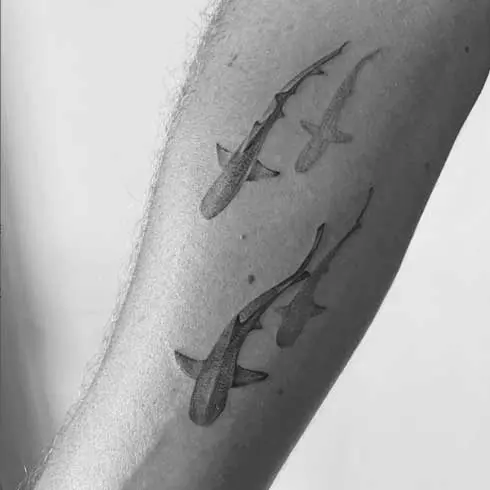 Some description for the image 46